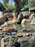 伊豆ぐらんぱる公園に投稿された画像（2026/5/5）