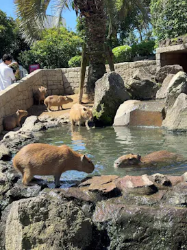伊豆ぐらんぱる公園に投稿された画像（2026/5/5）