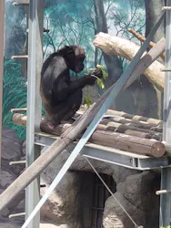 天王寺動物園に投稿された画像（2026/5/5）