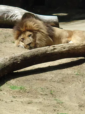 天王寺動物園に投稿された画像（2026/5/5）