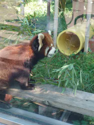 天王寺動物園に投稿された画像（2026/5/5）