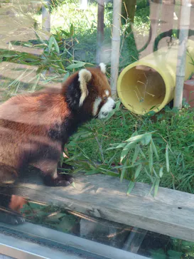 天王寺動物園に投稿された画像（2026/5/5）