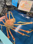 竹島水族館に投稿された画像（2026/5/5）
