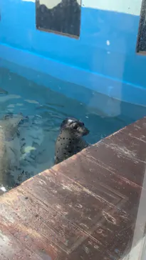 ゼロ距離水族館 伊勢シーパラダイスに投稿された画像（2026/5/5）