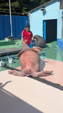 ゼロ距離水族館 伊勢シーパラダイスに投稿された画像（2026/5/5）