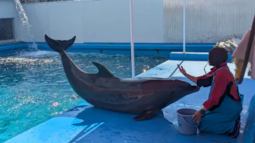 ゼロ距離水族館 伊勢シーパラダイスに投稿された画像（2026/5/5）