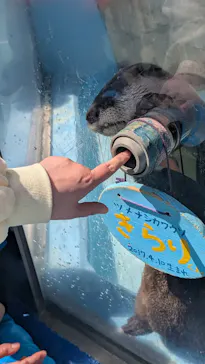 ゼロ距離水族館 伊勢シーパラダイスに投稿された画像（2026/5/5）
