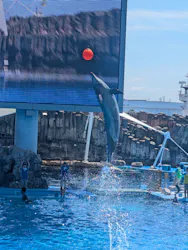 名古屋港水族館に投稿された画像（2026/5/5）