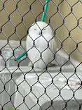 天王寺動物園に投稿された画像（2026/5/5）