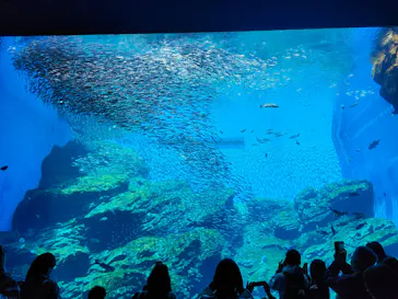 仙台うみの杜水族館に投稿された画像（2026/5/5）