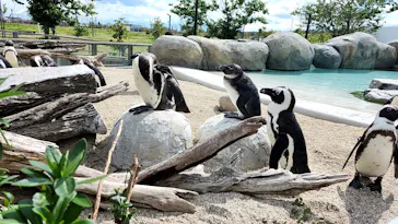 仙台うみの杜水族館に投稿された画像（2026/5/5）