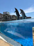 名古屋港水族館に投稿された画像（2026/5/5）