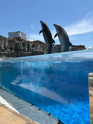 名古屋港水族館に投稿された画像（2026/5/5）