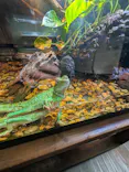 体感型動物園iZooに投稿された画像（2026/5/5）