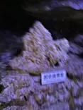 飛騨大鍾乳洞＆大橋コレクション館に投稿された画像（2026/5/5）