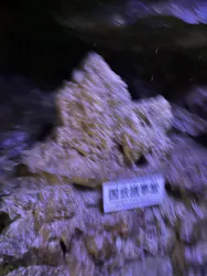 飛騨大鍾乳洞＆大橋コレクション館に投稿された画像（2026/5/5）