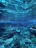 名古屋港水族館に投稿された画像（2026/5/5）