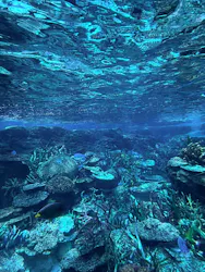 名古屋港水族館に投稿された画像（2026/5/5）