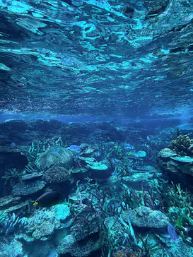 名古屋港水族館に投稿された画像（2026/5/5）