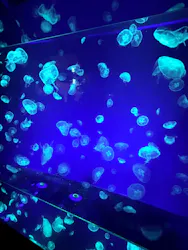 名古屋港水族館に投稿された画像（2026/5/5）