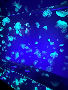 名古屋港水族館に投稿された画像（2026/5/5）