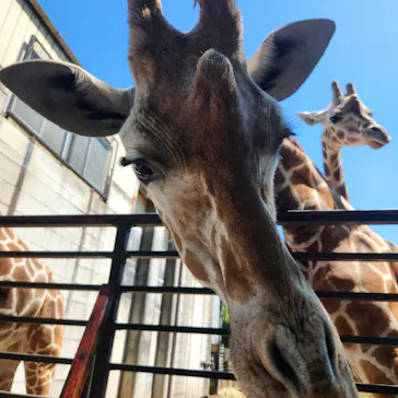 宇都宮動物園に投稿された画像（2026/5/5）