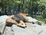 いしかわ動物園に投稿された画像（2026/5/5）