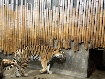 いしかわ動物園に投稿された画像（2026/5/5）