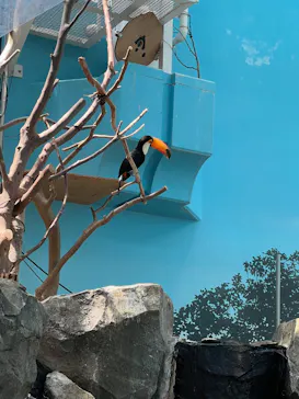 いしかわ動物園に投稿された画像（2026/5/5）