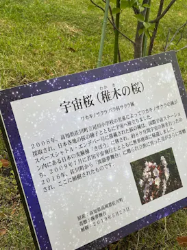 淡路ファームパーク イングランドの丘に投稿された画像（2026/5/5）