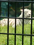 鹿児島市平川動物公園に投稿された画像（2026/5/5）
