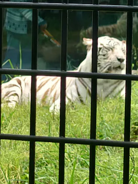 鹿児島市平川動物公園に投稿された画像（2026/5/5）