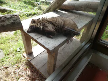 鹿児島市平川動物公園に投稿された画像（2026/5/5）