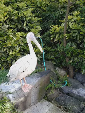 名古屋市東山動植物園に投稿された画像（2026/5/5）