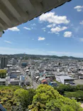 掛川城に投稿された画像（2026/5/5）