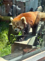 天王寺動物園に投稿された画像（2026/5/5）