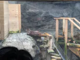 アクアワールド茨城県大洗水族館に投稿された画像（2026/5/5）