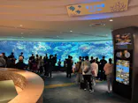 沖縄美ら海水族館に投稿された画像（2026/5/5）