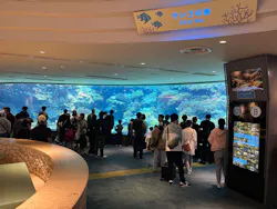 沖縄美ら海水族館に投稿された画像（2026/5/5）