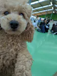 つくばわんわんランドに投稿された画像（2026/5/5）