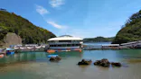 下田海中水族館に投稿された画像（2026/5/5）