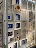 国立科学博物館に投稿された画像（2026/5/5）
