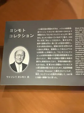 国立科学博物館に投稿された画像（2026/5/5）