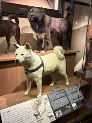 国立科学博物館に投稿された画像（2026/5/5）
