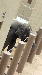 天王寺動物園に投稿された画像（2026/5/5）