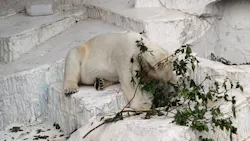天王寺動物園に投稿された画像（2026/5/5）