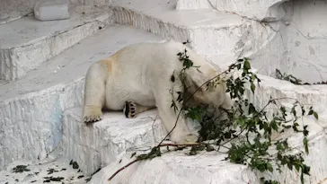 天王寺動物園に投稿された画像（2026/5/5）