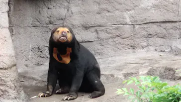 天王寺動物園に投稿された画像（2026/5/5）