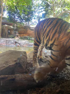 恩賜上野動物園に投稿された画像（2026/5/5）