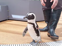 マクセル アクアパーク品川に投稿された画像（2026/5/5）
